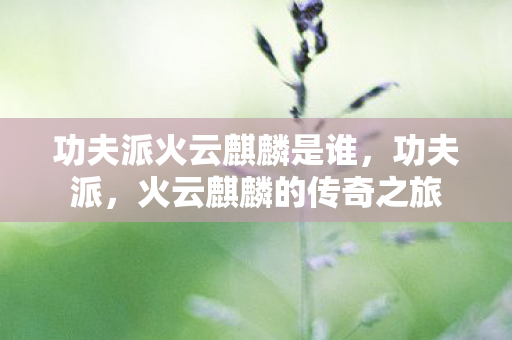 功夫派火云麒麟是谁，功夫派，火云麒麟的传奇之旅