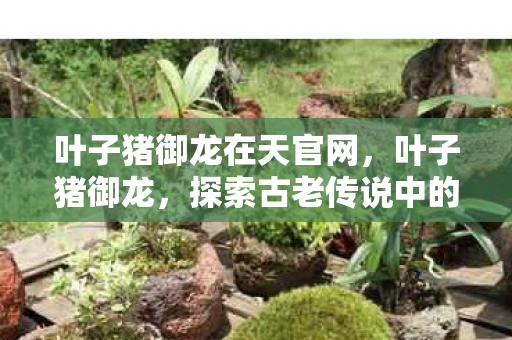 叶子猪御龙在天官网,叶子猪御龙,探索古老传说中的奇幻之旅 叶子猪御龙在天官网,叶子猪御龙,探索古老传说中的奇幻之旅