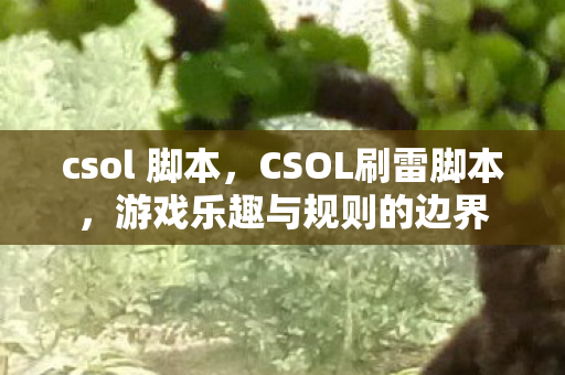 csol 脚本，CSOL刷雷脚本，游戏乐趣与规则的边界