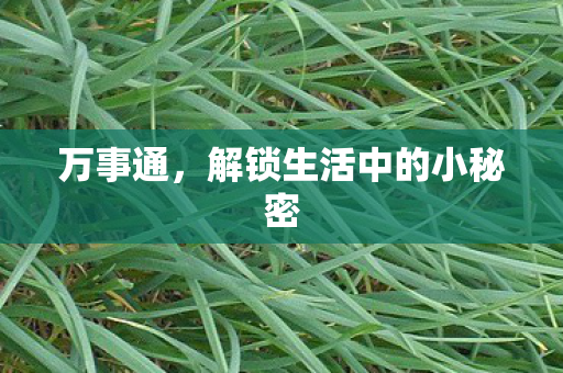 万事通，解锁生活中的小秘密