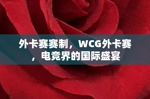 外卡赛赛制，WCG外卡赛，电竞界的国际盛宴