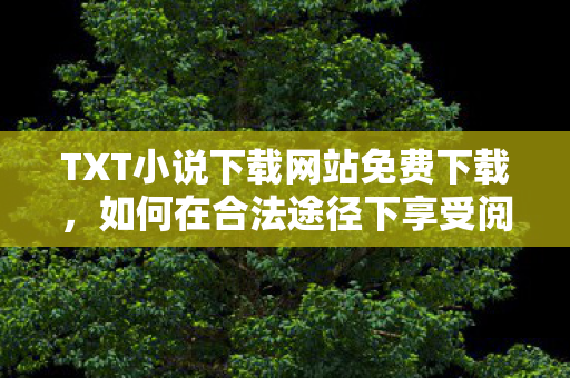 TXT小说下载网站免费下载，如何在合法途径下享受阅读的乐趣，txt小说下载指南