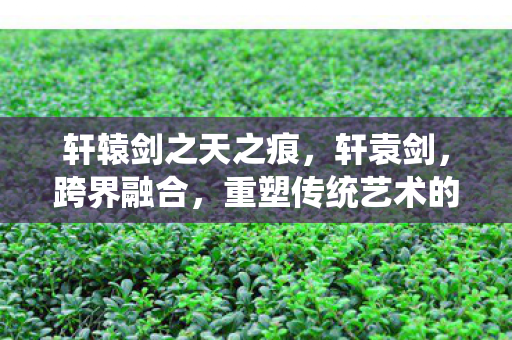 轩辕剑之天之痕，轩袁剑，跨界融合，重塑传统艺术的未来