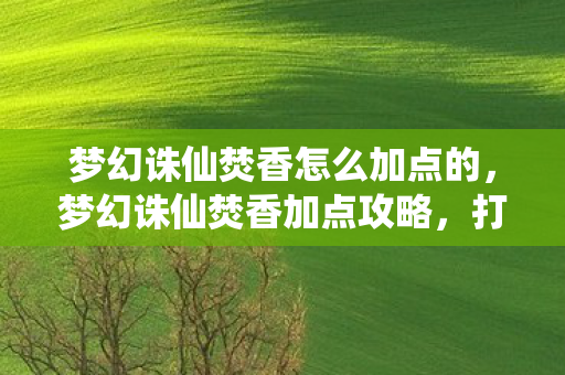 梦幻诛仙焚香怎么加点的，梦幻诛仙焚香加点攻略，打造最强输出角色