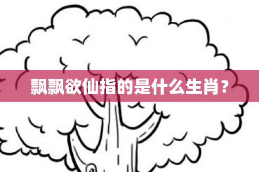 飘飘欲仙指的是什么生肖？
