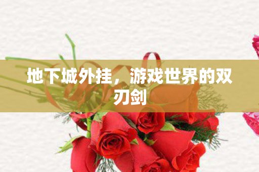 地下城外挂,游戏世界的双刃剑 地下城外挂,游戏世界的双刃剑