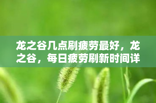 龙之谷几点刷疲劳最好，龙之谷，每日疲劳刷新时间详解