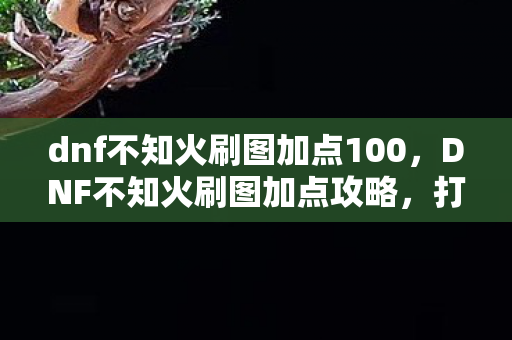dnf不知火刷图加点100，DNF不知火刷图加点攻略，打造高效战斗体验
