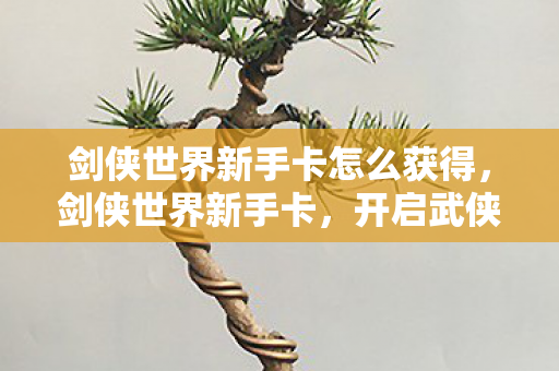 剑侠世界新手卡怎么获得，剑侠世界新手卡，开启武侠之旅的钥匙
