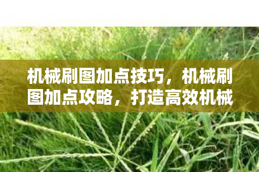 机械刷图加点技巧，机械刷图加点攻略，打造高效机械师