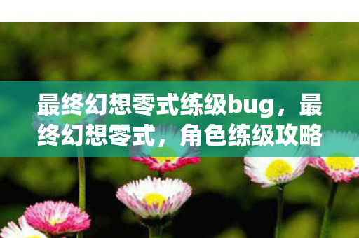 最终幻想零式练级bug，最终幻想零式，角色练级攻略