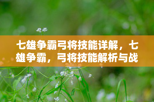 七雄争霸弓将技能详解，七雄争霸，弓将技能解析与战术应用