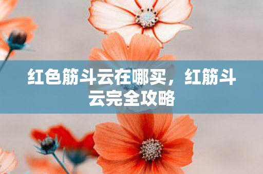红色筋斗云在哪买,红筋斗云完全攻略 红色筋斗云在哪买,红筋斗云完全攻略