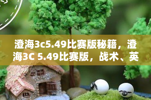 澄海3c5.49比赛版秘籍，澄海3C 5.49比赛版，战术、英雄与荣耀的较量