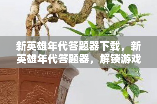 新英雄年代答题器下载，新英雄年代答题器，解锁游戏新境界的利器
