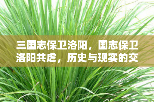 三国志保卫洛阳，国志保卫洛阳共虐，历史与现实的交织