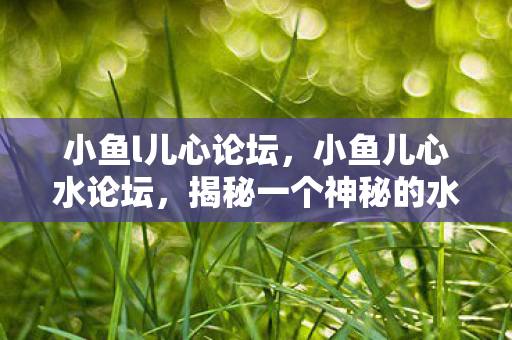 小鱼l儿心论坛,小鱼儿心水论坛,揭秘一个神秘的水族爱好者交流圣地 小鱼l儿心论坛,小鱼儿心水论坛,揭秘一个神秘的水族爱好者交流圣地