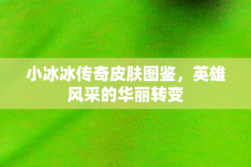 小冰冰传奇皮肤图鉴，英雄风采的华丽转变