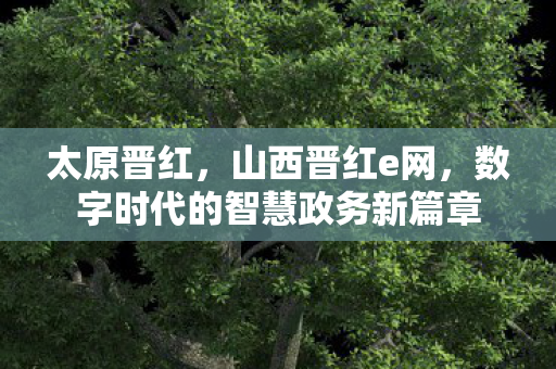 太原晋红，山西晋红e网，数字时代的智慧政务新篇章