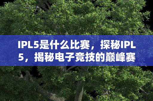 IPL5是什么比赛,探秘IPL5,揭秘电子竞技的巅峰赛事 IPL5是什么比赛,探秘IPL5,揭秘电子竞技的巅峰赛事