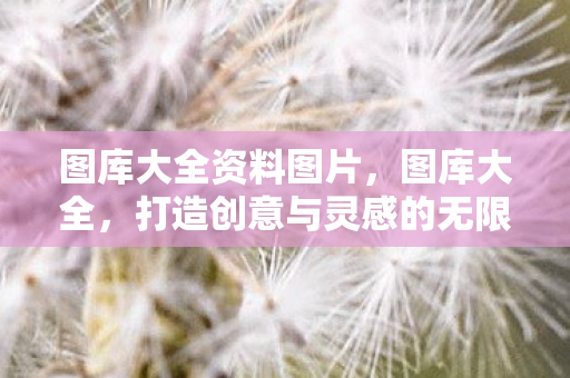 图库大全资料图片,图库大全,打造创意与灵感的无限宝库 图库大全资料图片,图库大全,打造创意与灵感的无限宝库
