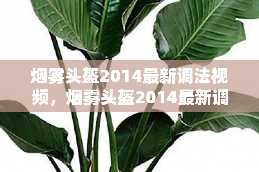 烟雾头盔2014最新调法视频,烟雾头盔2014最新调法揭秘,打造游戏竞技中的视觉优势 烟雾头盔2014最新调法视频,烟雾头盔2014最新调法揭秘,打造游戏竞技中的视觉优势