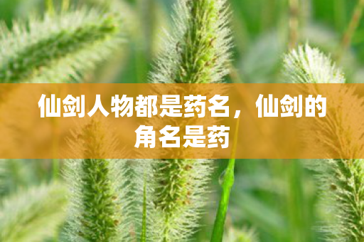 仙剑人物都是药名，仙剑的角名是药