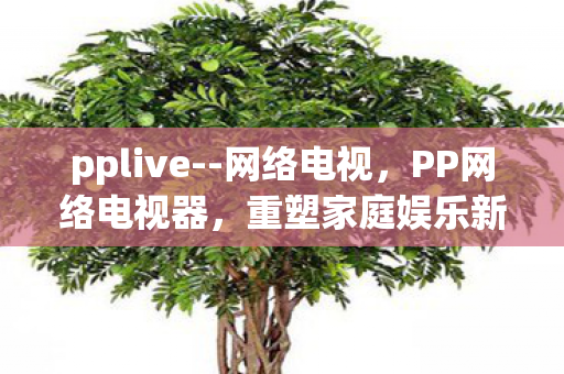 pplive--网络电视，PP网络电视器，重塑家庭娱乐新体验