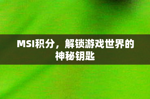 MSI积分,解锁游戏世界的神秘钥匙 MSI积分,解锁游戏世界的神秘钥匙
