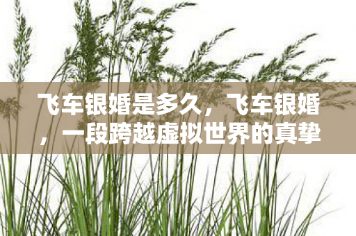 飞车银婚是多久，飞车银婚，一段跨越虚拟世界的真挚情感