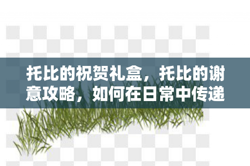 托比的祝贺礼盒，托比的谢意攻略，如何在日常中传递温暖与感激