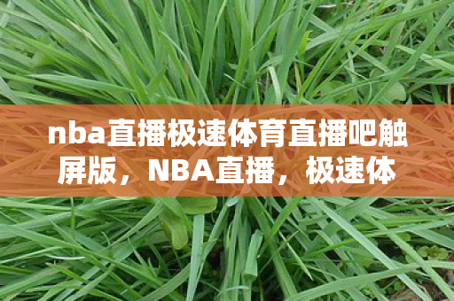 nba直播极速体育直播吧触屏版，NBA直播，极速体育直播吧——球迷的福音