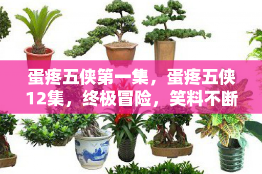 蛋疼五侠第一集，蛋疼五侠12集，终极冒险，笑料不断的奇幻之旅