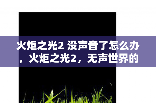 火炬之光2 没声音了怎么办，火炬之光2，无声世界的冒险