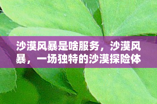 沙漠风暴是啥服务,沙漠风暴,一场独特的沙漠探险体验 沙漠风暴是啥服务,沙漠风暴,一场独特的沙漠探险体验