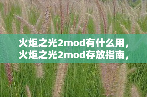 火炬之光2mod有什么用,火炬之光2mod存放指南,打造个性化游戏体验 火炬之光2mod有什么用,火炬之光2mod存放指南,打造个性化游戏体验