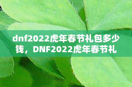 dnf2022虎年春节礼包多少钱，DNF2022虎年春节礼包，神秘惊喜等你来揭秘