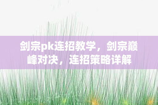 剑宗pk连招教学，剑宗巅峰对决，连招策略详解