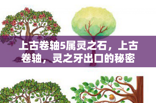 上古卷轴5属灵之石,上古卷轴,灵之牙出口的秘密 上古卷轴5属灵之石,上古卷轴,灵之牙出口的秘密
