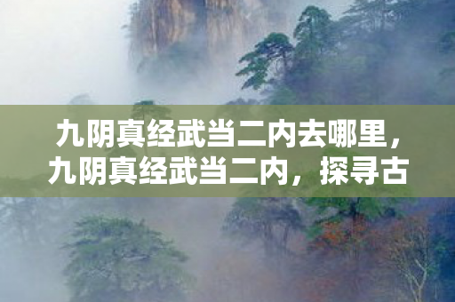 九阴真经武当二内去哪里，九阴真经武当二内，探寻古老武学的奥秘