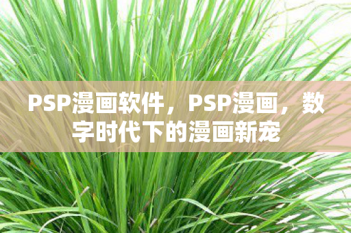 PSP漫画软件，PSP漫画，数字时代下的漫画新宠