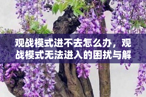 观战模式进不去怎么办,观战模式无法进入的困扰与解决之道 观战模式进不去怎么办,观战模式无法进入的困扰与解决之道