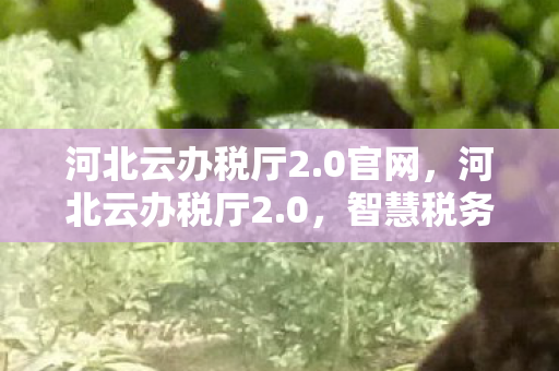 河北云办税厅2.0官网，河北云办税厅2.0，智慧税务的新篇章