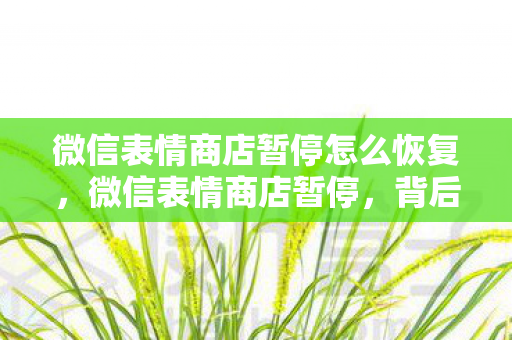 微信表情商店暂停怎么恢复，微信表情商店暂停，背后的原因与未来展望
