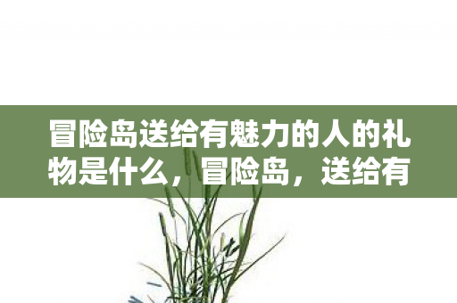 冒险岛送给有魅力的人的礼物是什么，冒险岛，送给有魅力的人的礼物
