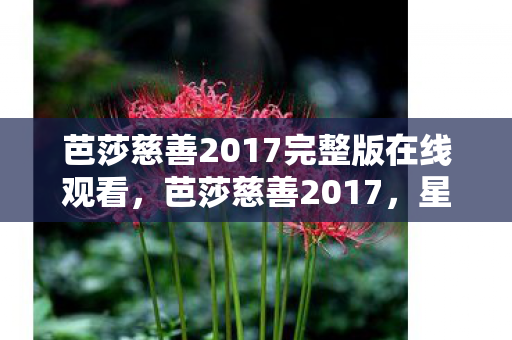 芭莎慈善2017完整版在线观看，芭莎慈善2017，星光熠熠的慈善之夜