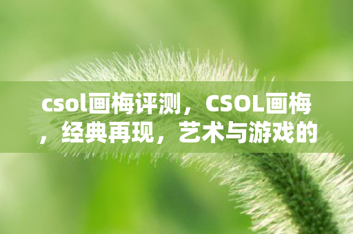 csol画梅评测,CSOL画梅,经典再现,艺术与游戏的完美融合 csol画梅评测,CSOL画梅,经典再现,艺术与游戏的完美融合