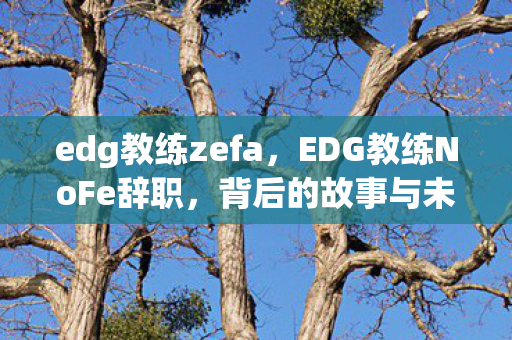 edg教练zefa，EDG教练NoFe辞职，背后的故事与未来展望