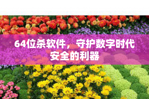64位杀软件,守护数字时代安全的利器 64位杀软件,守护数字时代安全的利器
