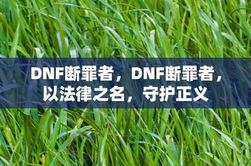 DNF断罪者,DNF断罪者,以法律之名,守护正义 DNF断罪者,DNF断罪者,以法律之名,守护正义